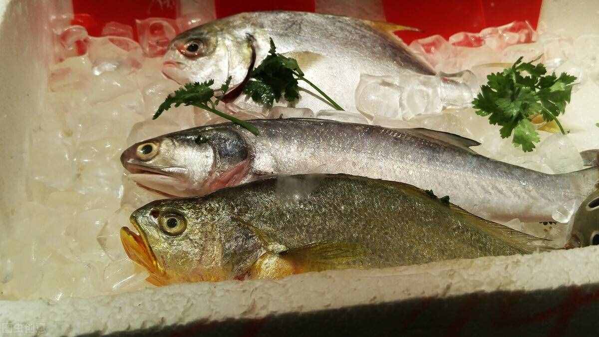 一個(gè)橘子五味藥，很多人只知道陳皮的用處，你還知道什么？