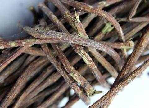 毫不起眼的夜交藤，拯救失眠的良藥！