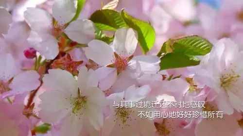 正能量微語100句 勵(lì)志語錄句言