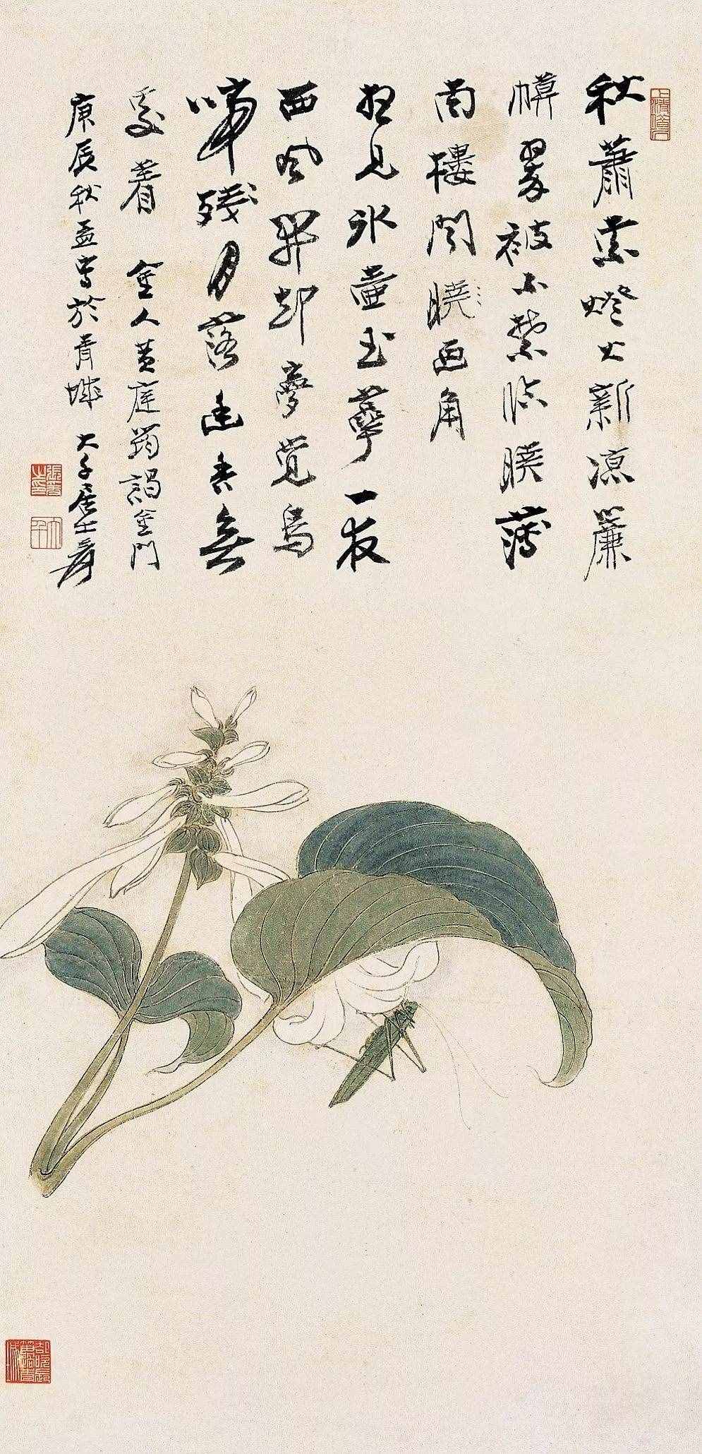 珍藏｜張大千花鳥畫（100幅）