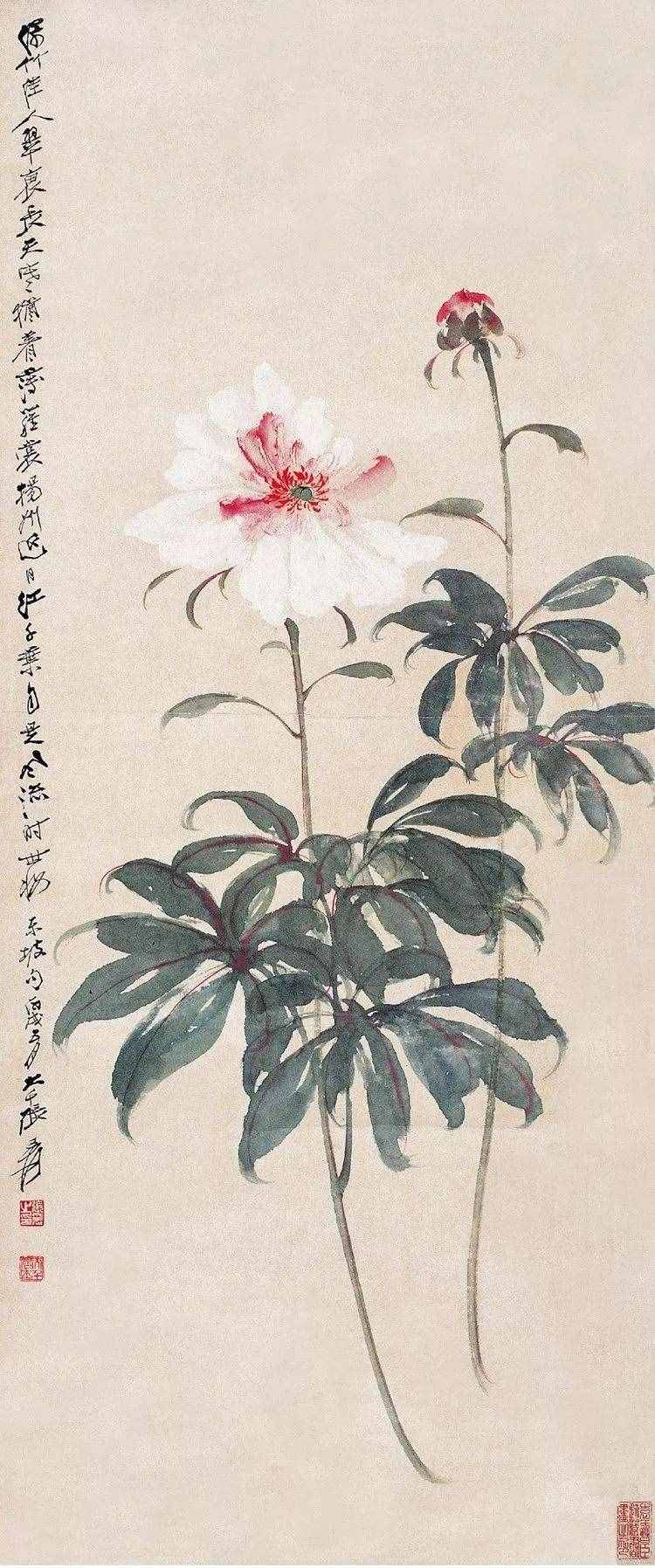 珍藏｜張大千花鳥畫（100幅）