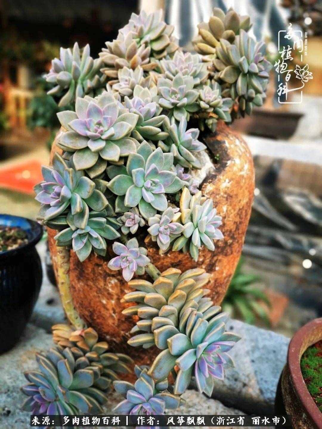 緣淺緣深，去留隨意，時間撲面而來，我們終將釋懷