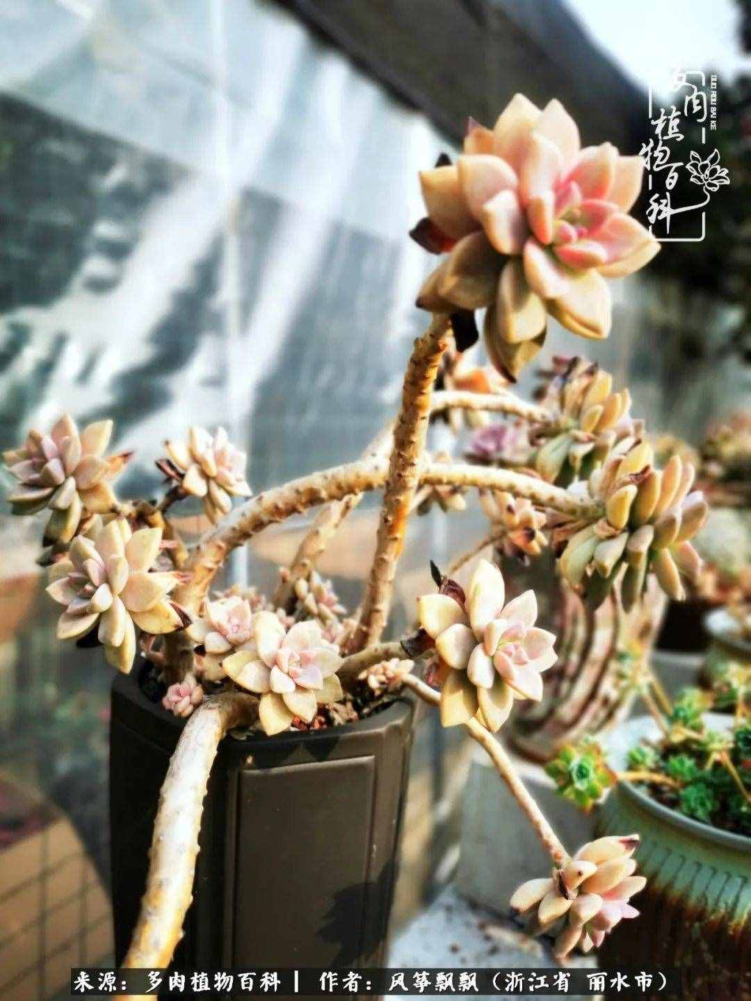 緣淺緣深，去留隨意，時間撲面而來，我們終將釋懷