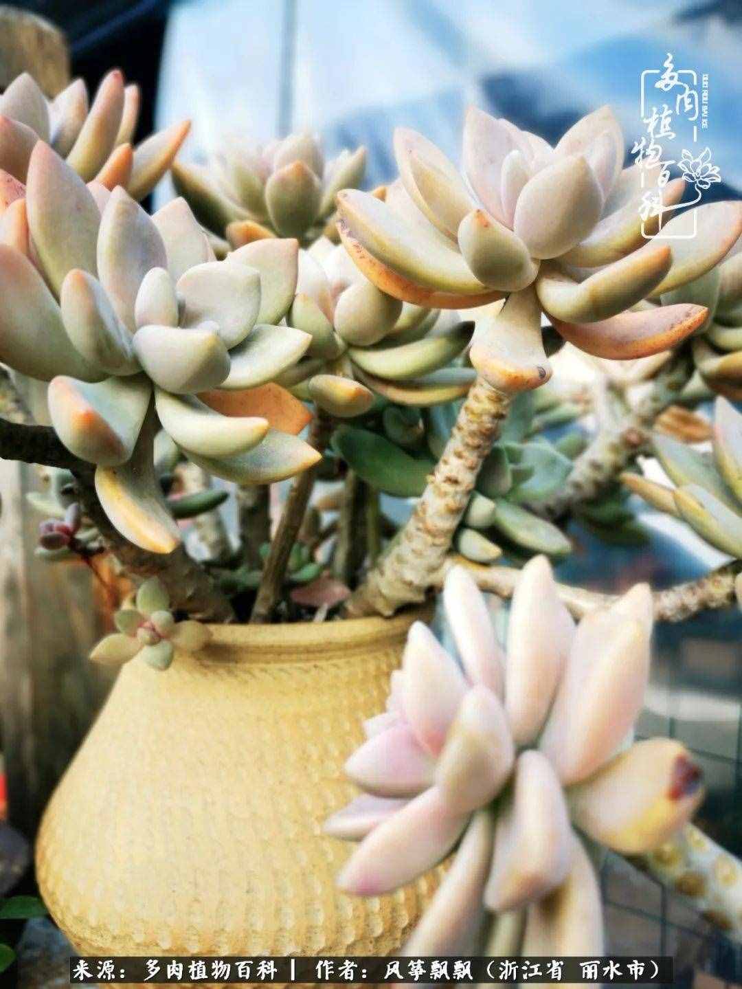 緣淺緣深，去留隨意，時間撲面而來，我們終將釋懷