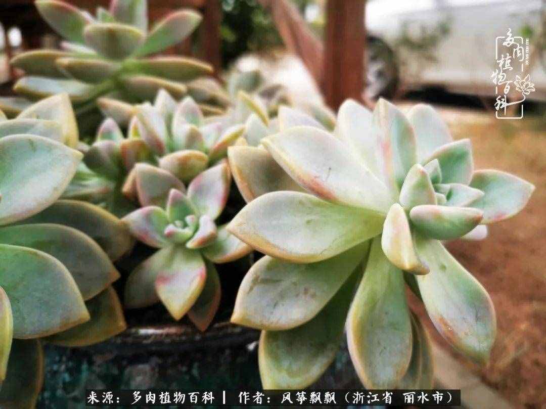 緣淺緣深，去留隨意，時間撲面而來，我們終將釋懷