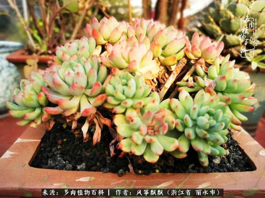 緣淺緣深，去留隨意，時間撲面而來，我們終將釋懷