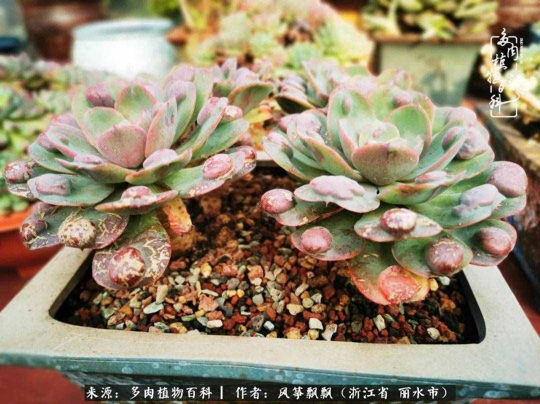 緣淺緣深，去留隨意，時間撲面而來，我們終將釋懷