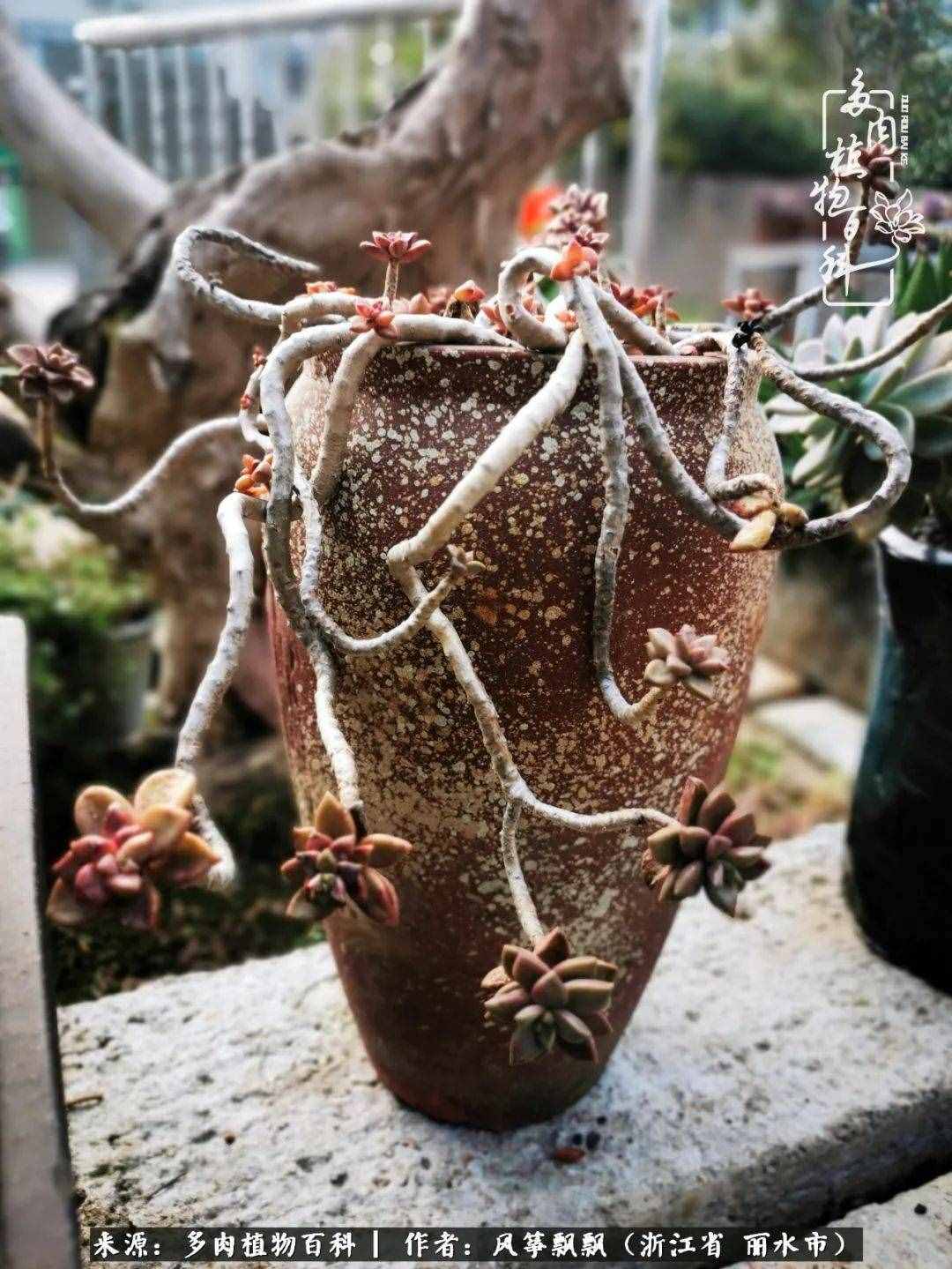 緣淺緣深，去留隨意，時間撲面而來，我們終將釋懷