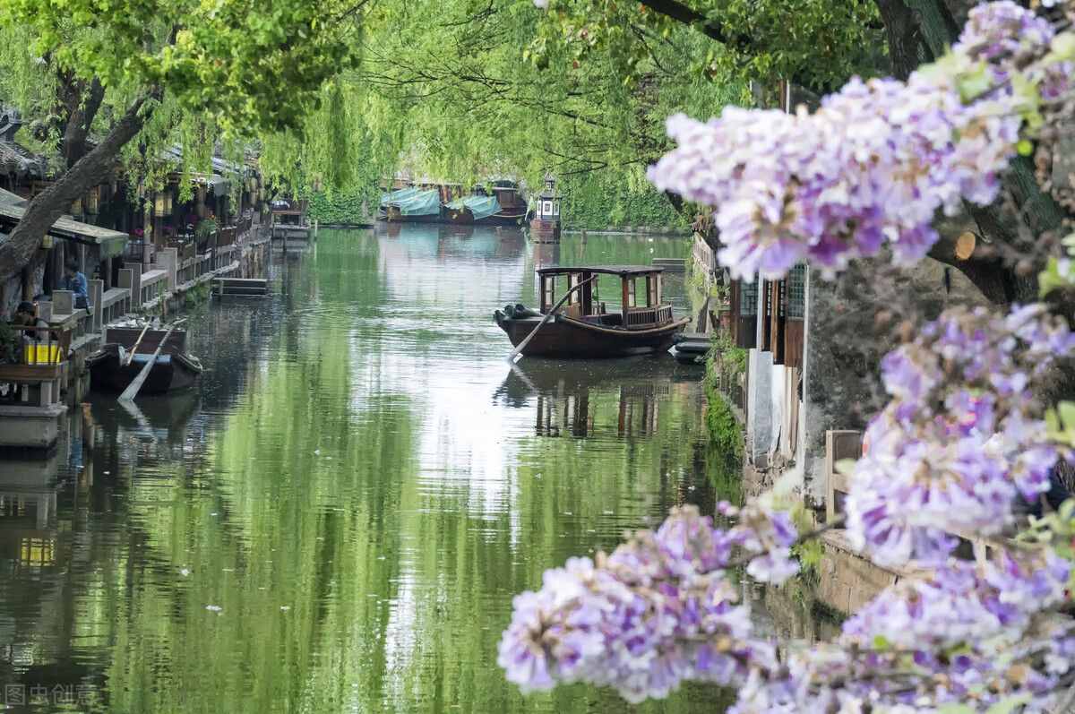 在歲月的年輪里，褪去繁華，留得淡然