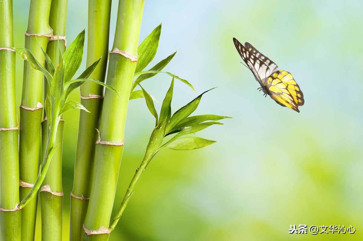 上聯(lián)求下聯(lián)，你來(lái)我也來(lái)！上聯(lián)：梅蘭竹菊四君子