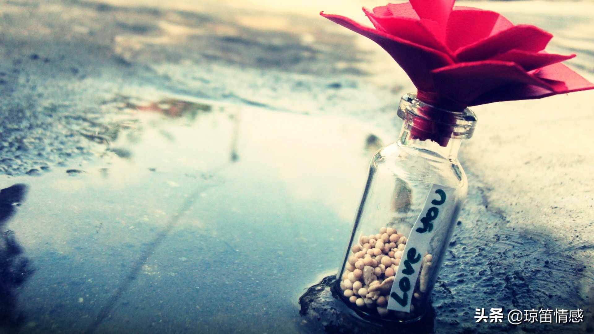 徐志摩：我將在茫茫人海中尋找唯一靈魂伴侶，得之我幸，失之我命