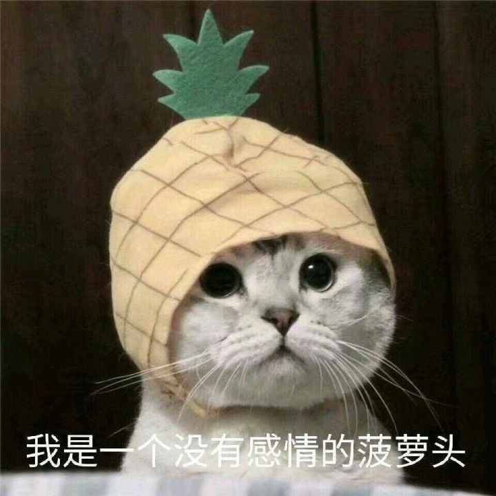 這些梗你知道多少？