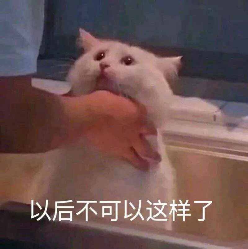 這些梗你知道多少？