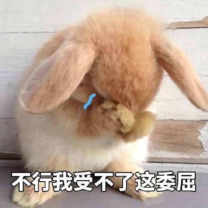 這些梗你知道多少？
