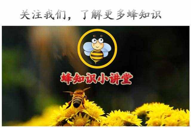姜湯蜂蜜水的作用與功效及正確做法