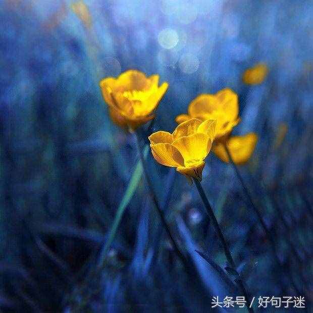 感性且不矯情的句子，句句走心，第一句就說出了我的心聲！