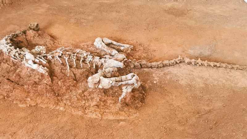 走進(jìn)“恐龍之鄉(xiāng)”探秘史前生物