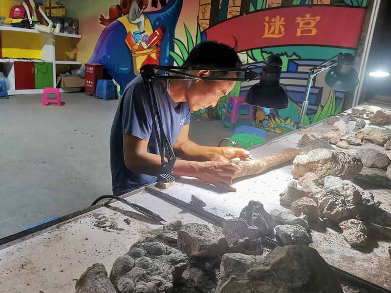 走進(jìn)“恐龍之鄉(xiāng)”探秘史前生物