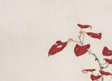 今日更新張大千擅長(zhǎng)畫什么（珍藏張大千花鳥畫（100幅））