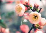 今日更新立春能理發(fā)嗎（立春當(dāng)天有哪些風(fēng)俗講究）