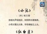 今日更新夏天的詩（25首關(guān)于夏天的經(jīng)典詩詞）