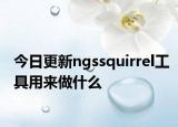 今日更新ngssquirrel工具用來(lái)做什么