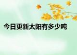 今日更新太陽有多少噸