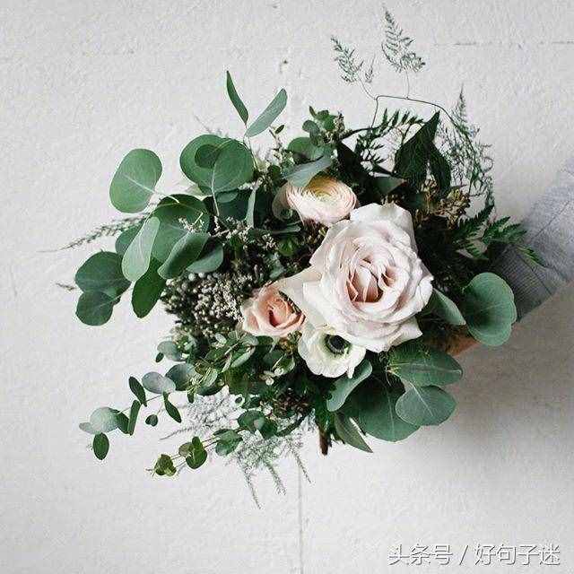 安慰別人的心靈雞湯，句句經(jīng)典暖心，送給難過失落的你！