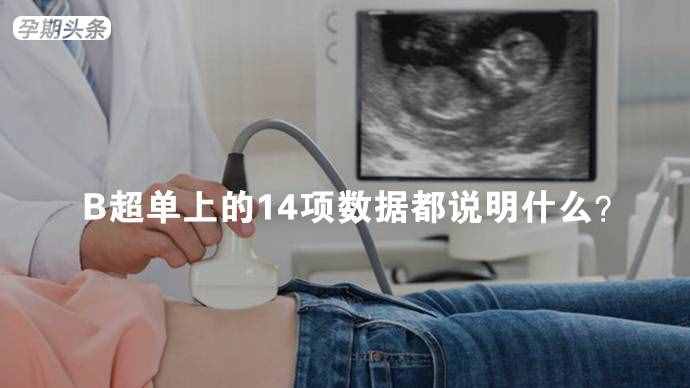B超單上的14項(xiàng)數(shù)據(jù)都說明什么？