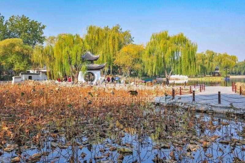 北京：陶然亭公園