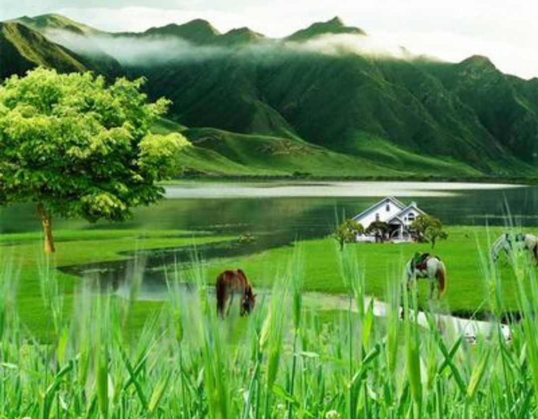 十部頂級(jí)種田文小說，質(zhì)量上佳口碑好，你追過幾部？