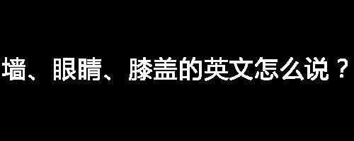 墻、眼睛、膝蓋的英文怎么說？我愛你「抖音表情包」