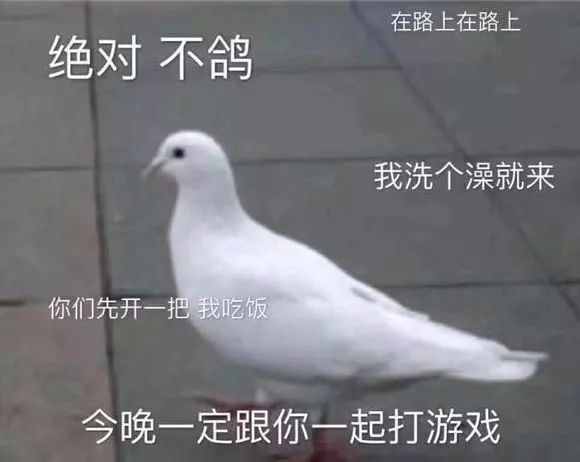 自動打卡，各種黑科技插件隨便裝，這兩個App太爽了