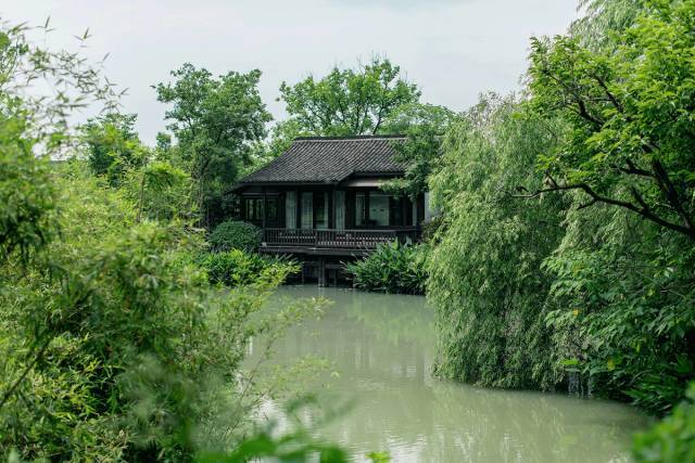 一方小院，心之歸處