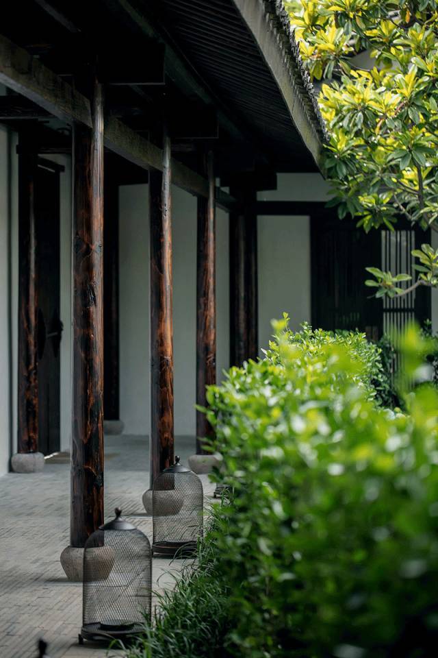 一方小院，心之歸處
