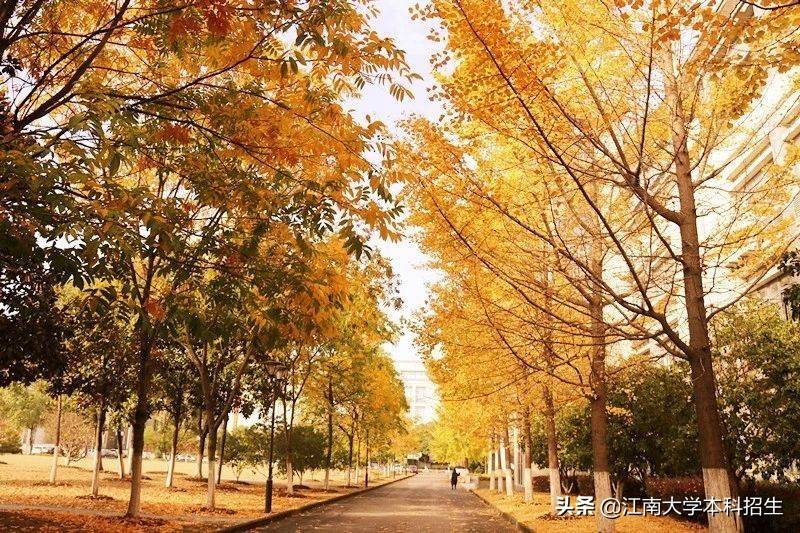 全國最美校園之一！江南大學(xué)今天63歲了！走出眾多行業(yè)泰斗，頻獲世界！