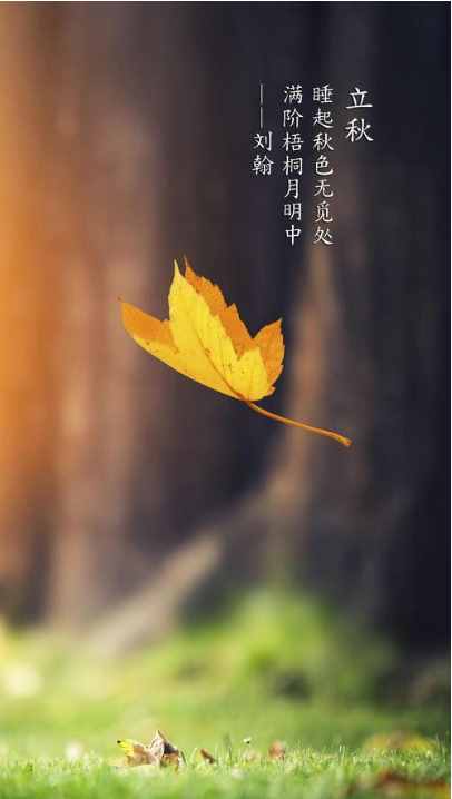 「詩詞鑒賞」節(jié)物催吾老 天涯見立秋，邂逅最美立秋詩詞
