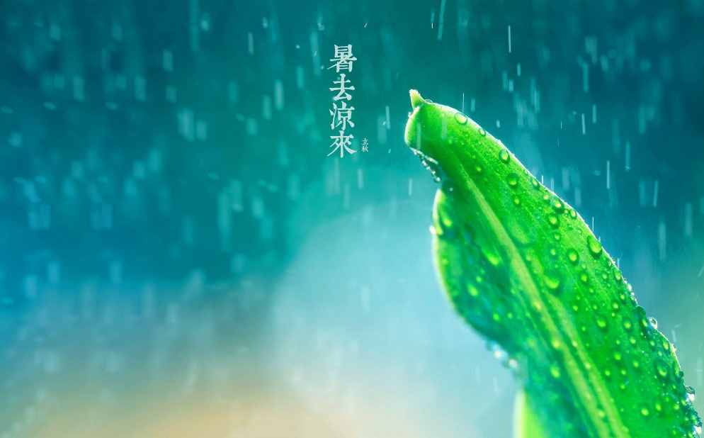 「詩詞鑒賞」節(jié)物催吾老 天涯見立秋，邂逅最美立秋詩詞