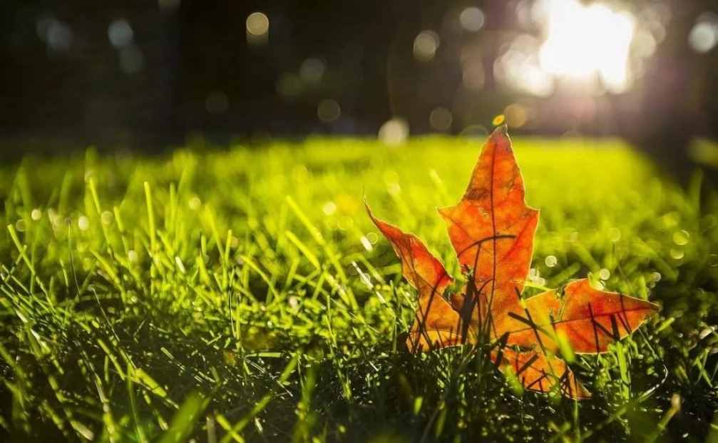 「詩詞鑒賞」節(jié)物催吾老 天涯見立秋，邂逅最美立秋詩詞