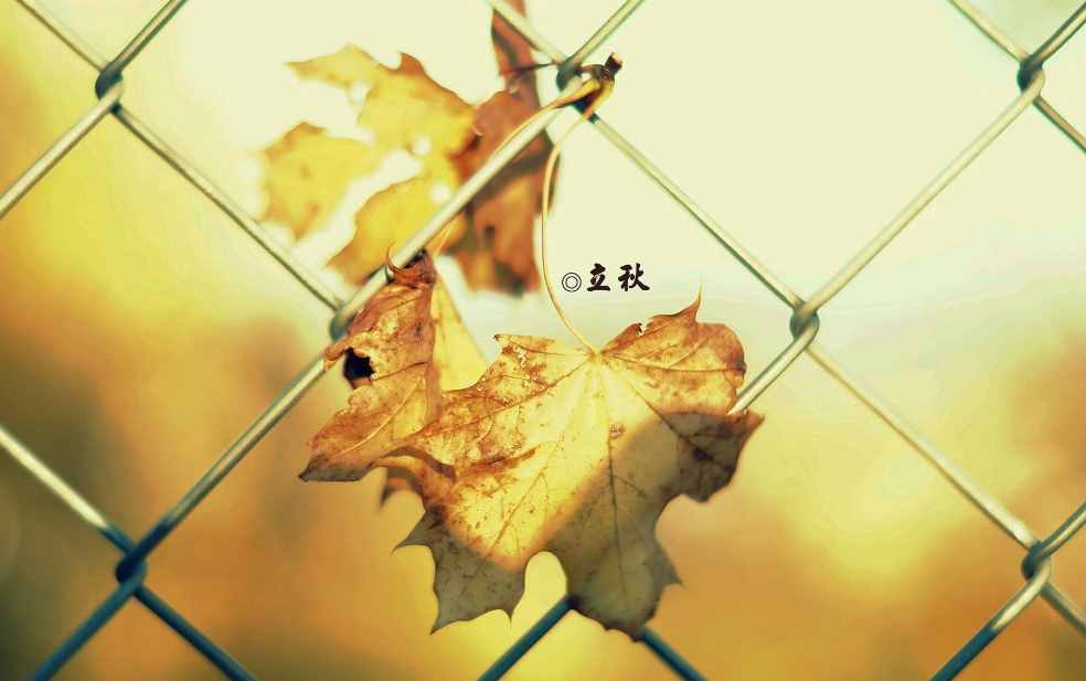 「詩詞鑒賞」節(jié)物催吾老 天涯見立秋，邂逅最美立秋詩詞