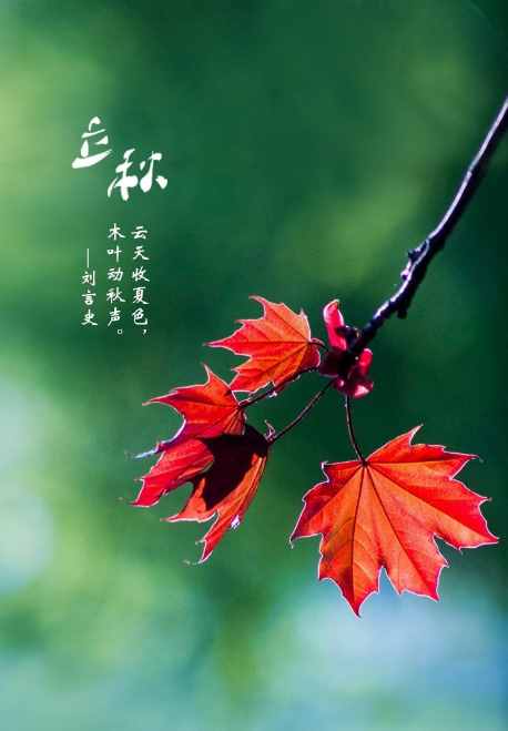 「詩詞鑒賞」節(jié)物催吾老 天涯見立秋，邂逅最美立秋詩詞