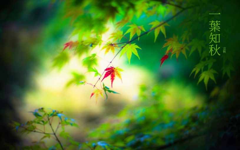 「詩詞鑒賞」節(jié)物催吾老 天涯見立秋，邂逅最美立秋詩詞