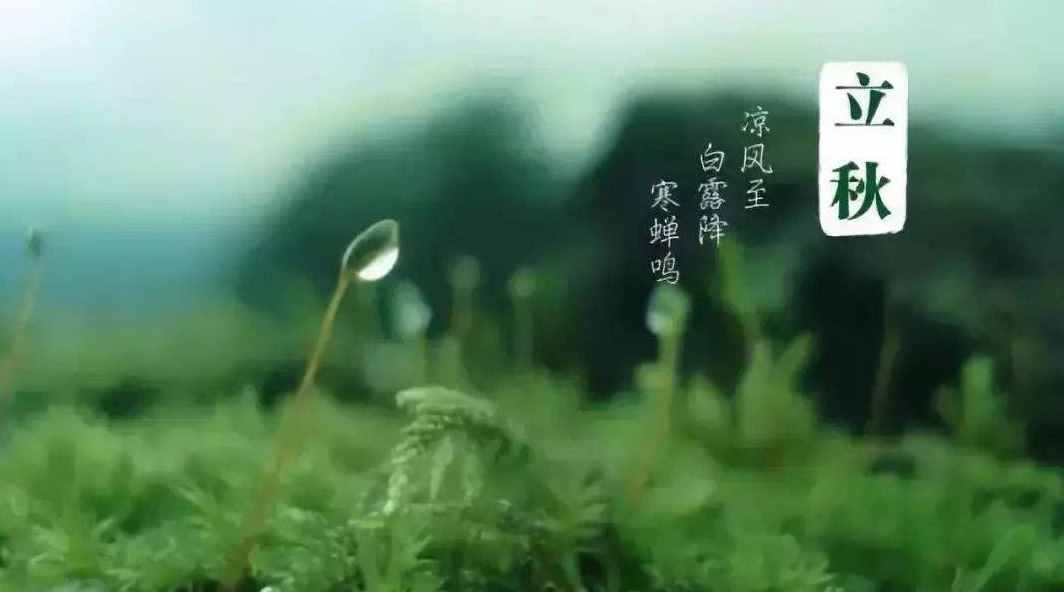 「詩詞鑒賞」節(jié)物催吾老 天涯見立秋，邂逅最美立秋詩詞