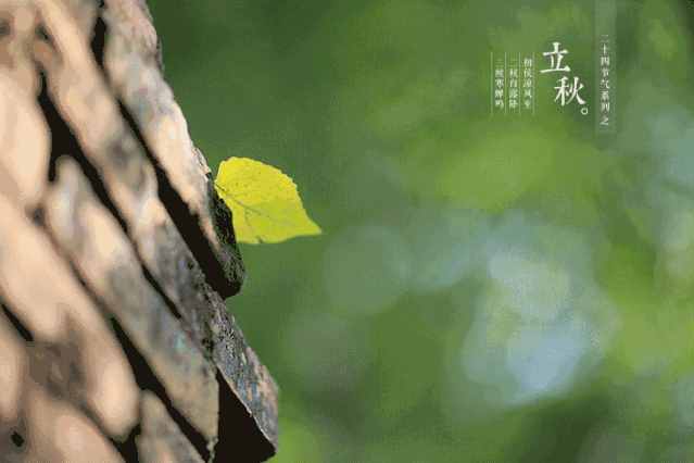 「詩詞鑒賞」節(jié)物催吾老 天涯見立秋，邂逅最美立秋詩詞