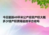 今日更新40平米公產(chǎn)房買產(chǎn)權(quán)大概多少錢產(chǎn)權(quán)費(fèi)用是按平方收嗎