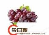 今日更新葡萄英語(yǔ)怎么讀（葡萄用英語(yǔ)怎么說(shuō)讀）