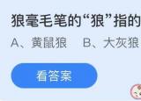 今日更新狼毫毛筆的狼是指!（狼毫毛筆的狼指的是什么狼黃鼠狼!）