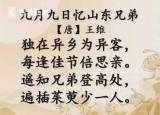 今日更新九月初九是什么節(jié)日 （又是一年重陽(yáng)節(jié)將至）