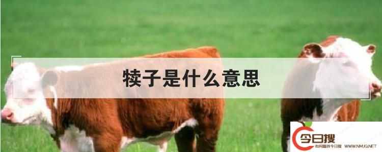 犢子是什么意思
