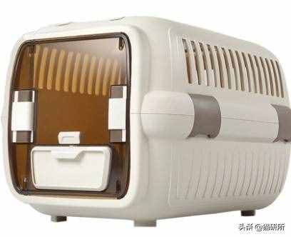鏟屎官必備：7大航空公司貓咪托運(yùn)攻略